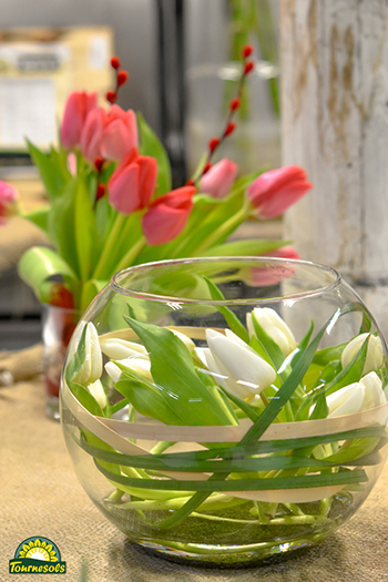 Compo de tulipes dans vase rond - jardineries Tournesols